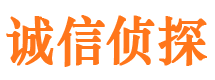 江夏市私家侦探